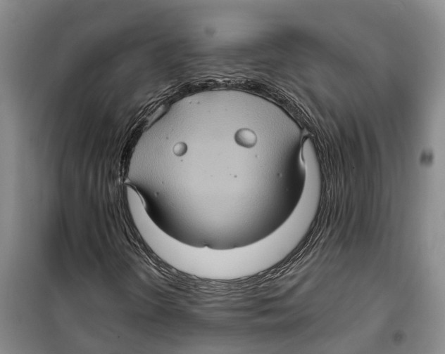 X0000099381298200806051111