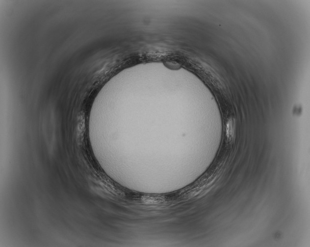 X0000099381299200806051111