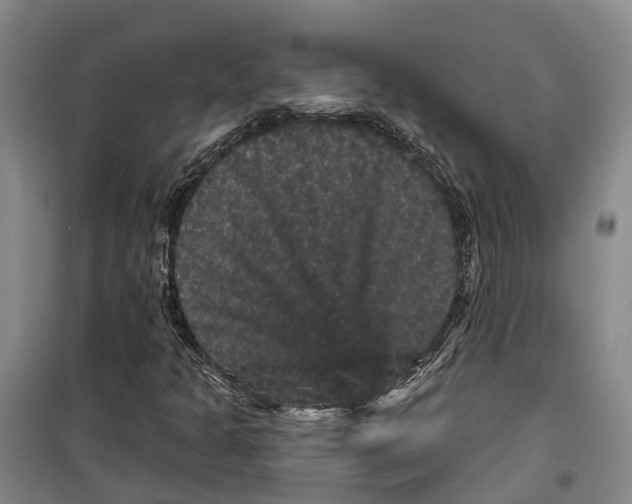 X0000099381301200806051111