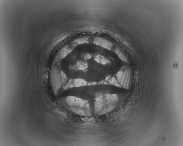 X0000099381302200806051111