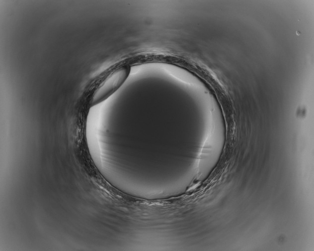 X0000099381303200806051111