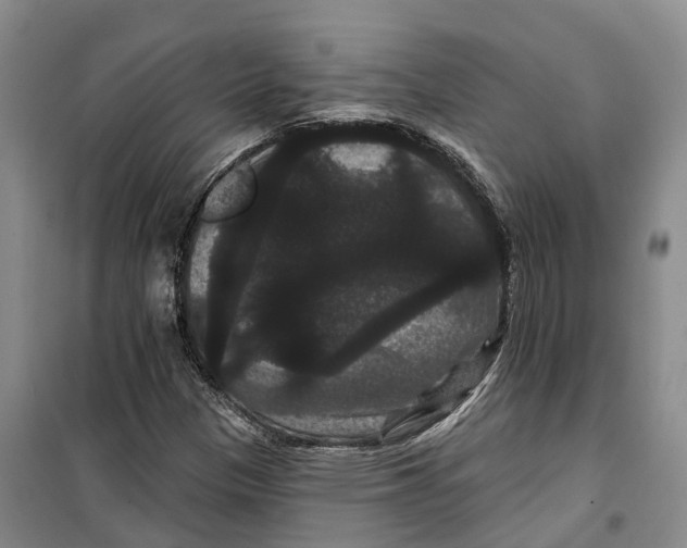 X0000099381305200806051111