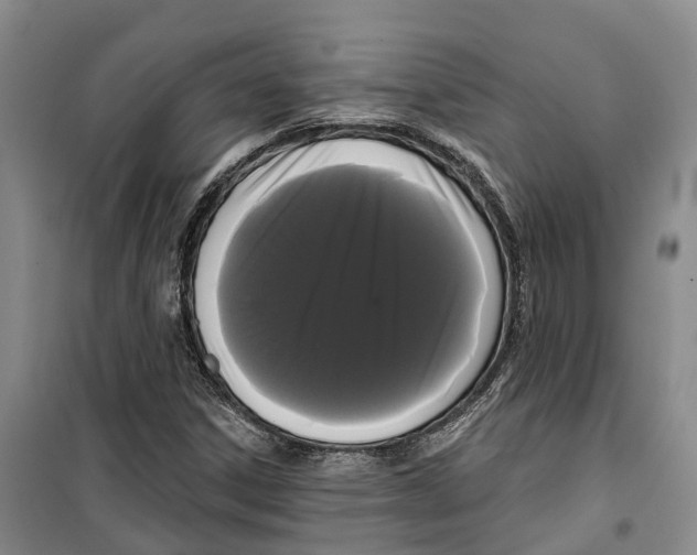 X0000099381306200806051111