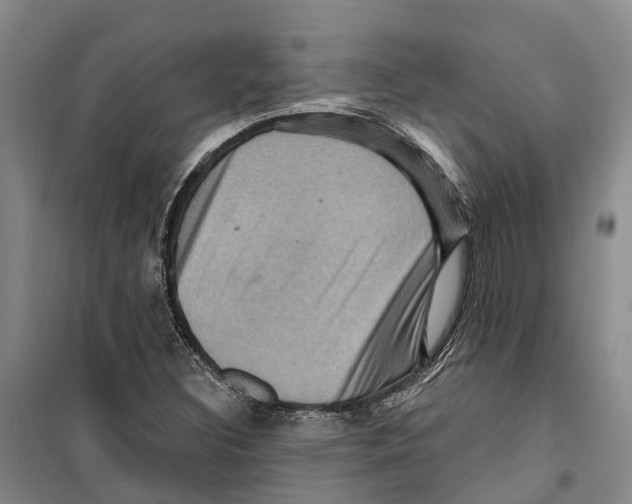 X0000099381308200806051111