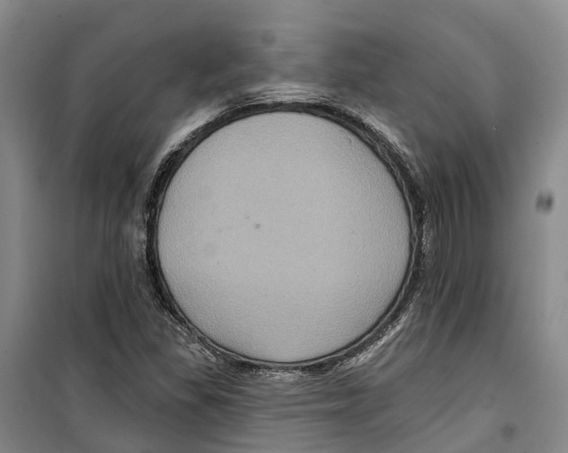 X0000099381309200806051111