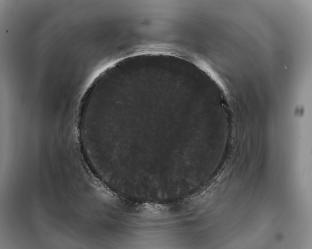 X0000099381312200806051112