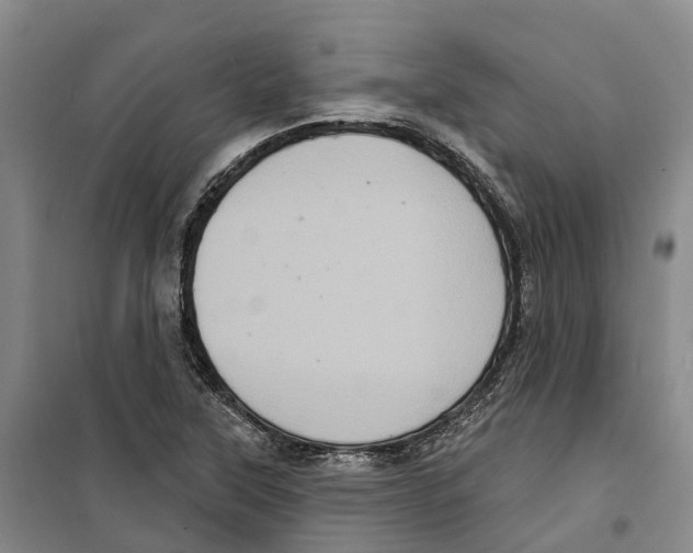X0000099381315200806051112