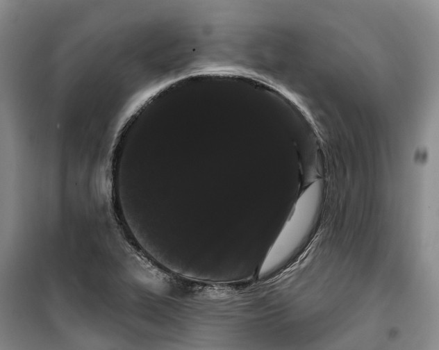 X0000099381319200806051112