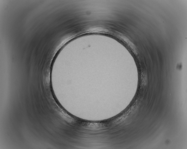 X0000099381322200806051112