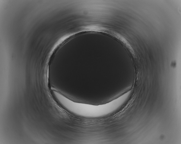 X0000099381323200806051112