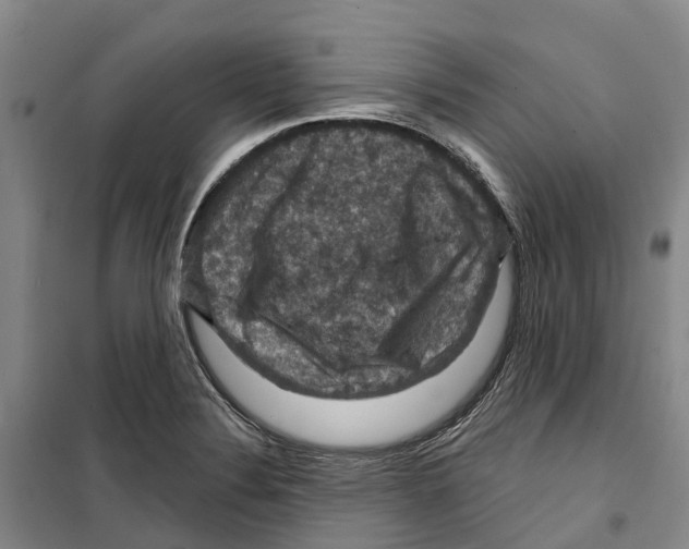 X0000099381324200806051112