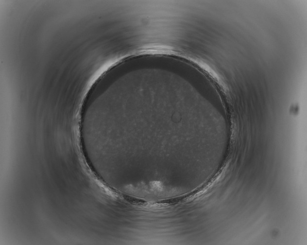 X0000099381325200806051112