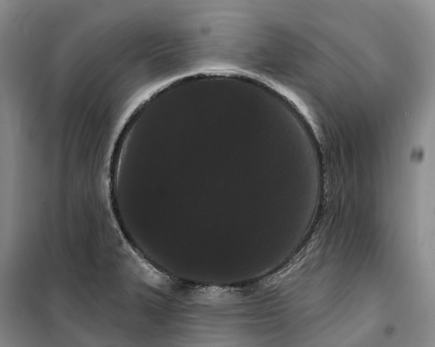 X0000099381327200806051112