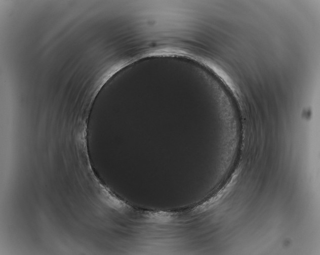 X0000099381329200806051112
