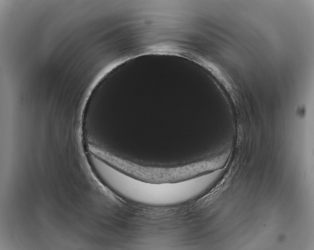 X0000099381331200806051112