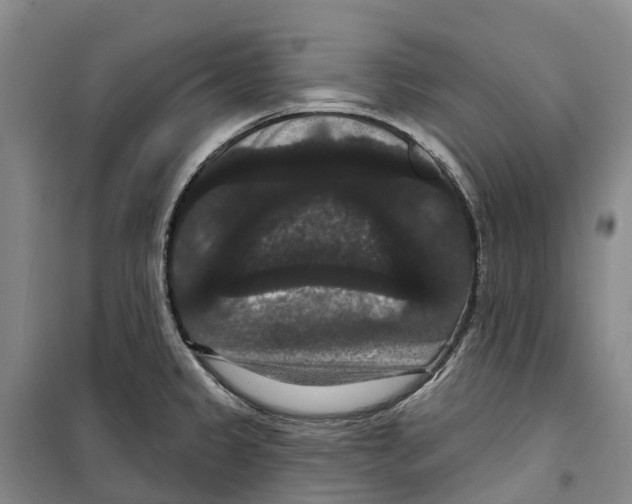 X0000099381333200806051112