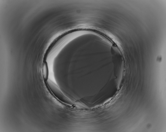 X0000099381334200806051112