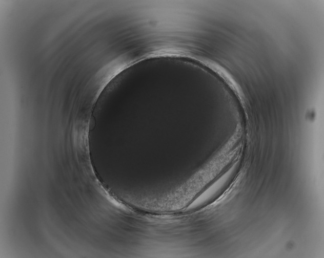 X0000099381337200806051112