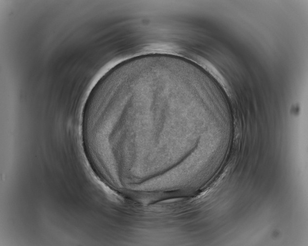 X0000099381339200806051112