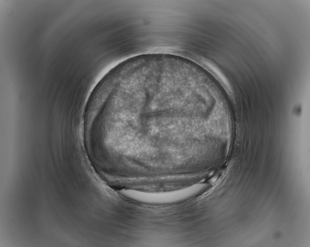 X0000099381340200806051112