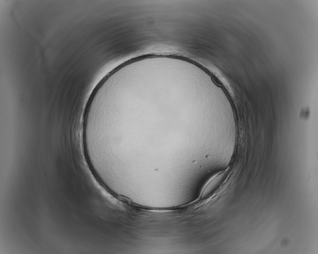 X0000099381343200806051112