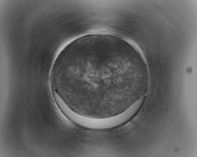 X0000099381344200806051112