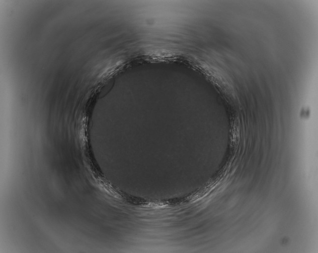 X0000099381346200806051111