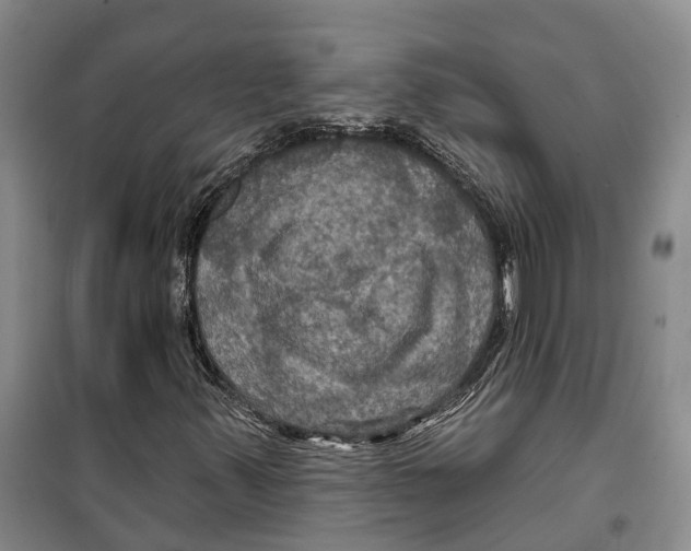 X0000099381347200806051111