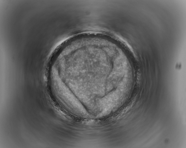X0000099381352200806051111