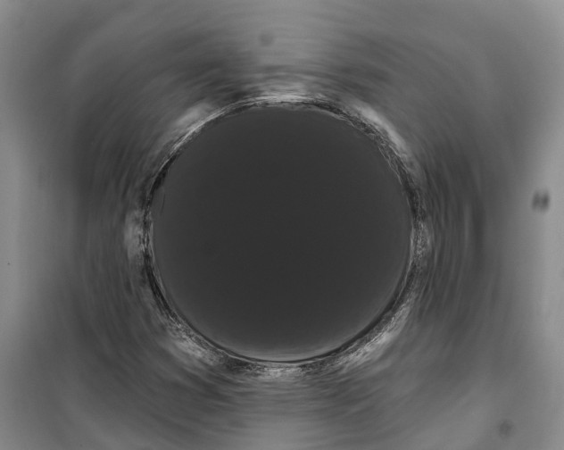X0000099381353200806051111