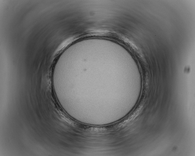 X0000099381354200806051111