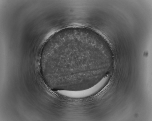 X0000099381355200806051111