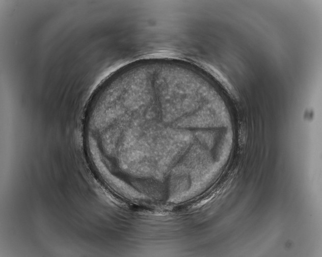 X0000099381356200806051111
