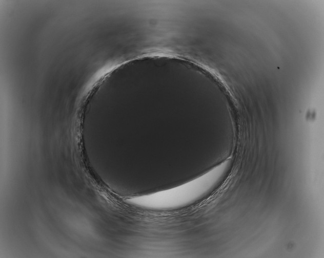 X0000099381359200806051111