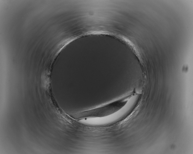X0000099381361200806051111