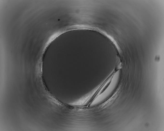 X0000099381365200806051111