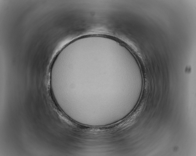 X0000099381366200806051111
