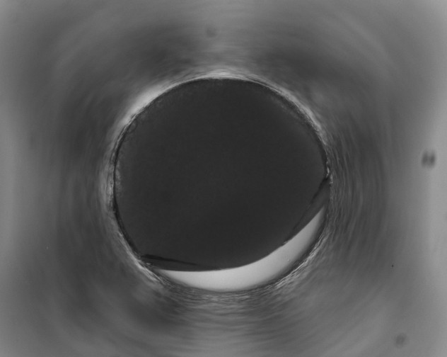 X0000099381367200806051111