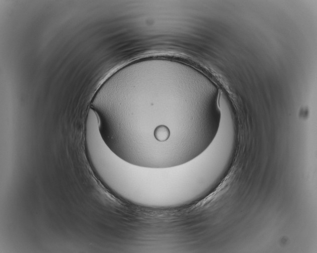 X0000099381369200806051111