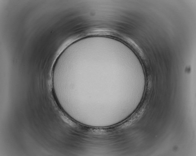 X0000099381370200806051111