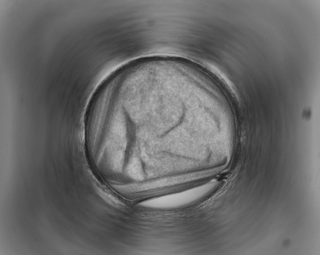 X0000099381372200806051111