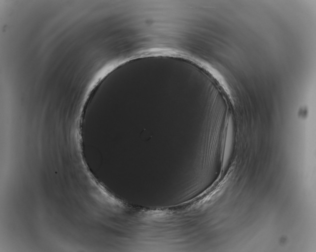 X0000099381373200806051111