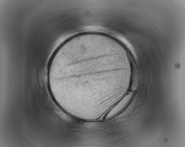 X0000099381376200806051111