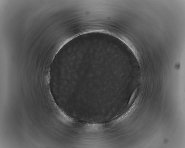 X0000099381377200806051111