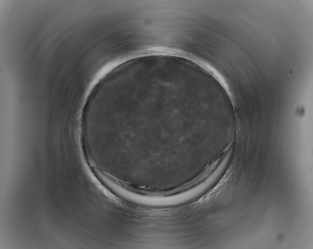 X0000099381381200806051111