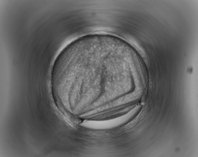 X0000099381384200806051111