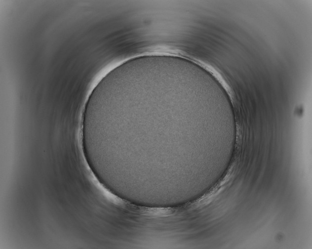 X0000099381387200806051111