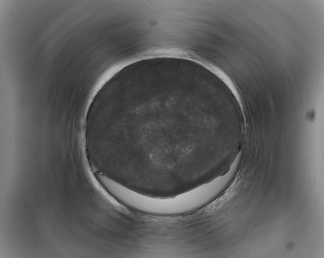 X0000099381389200806051111