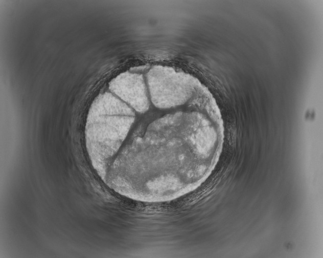 X0000099381393200806051110