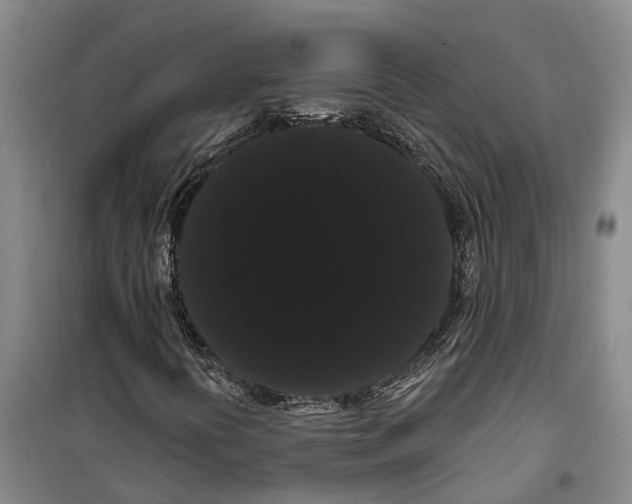 X0000099381394200806051110